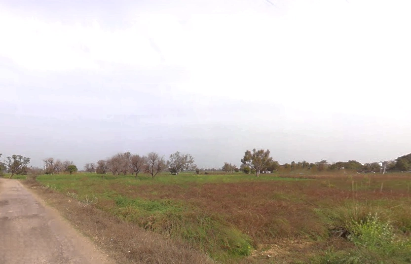 CWH5+8GJ, Ratawali, Rajasthan, India