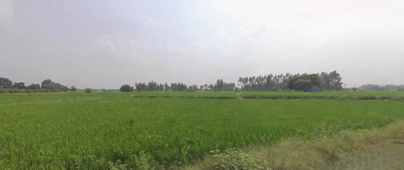 Bajuha Khurd, Punjab 144033, India
