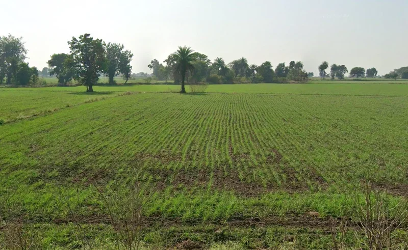 Raisen, Madhya Pradesh, India preview 3