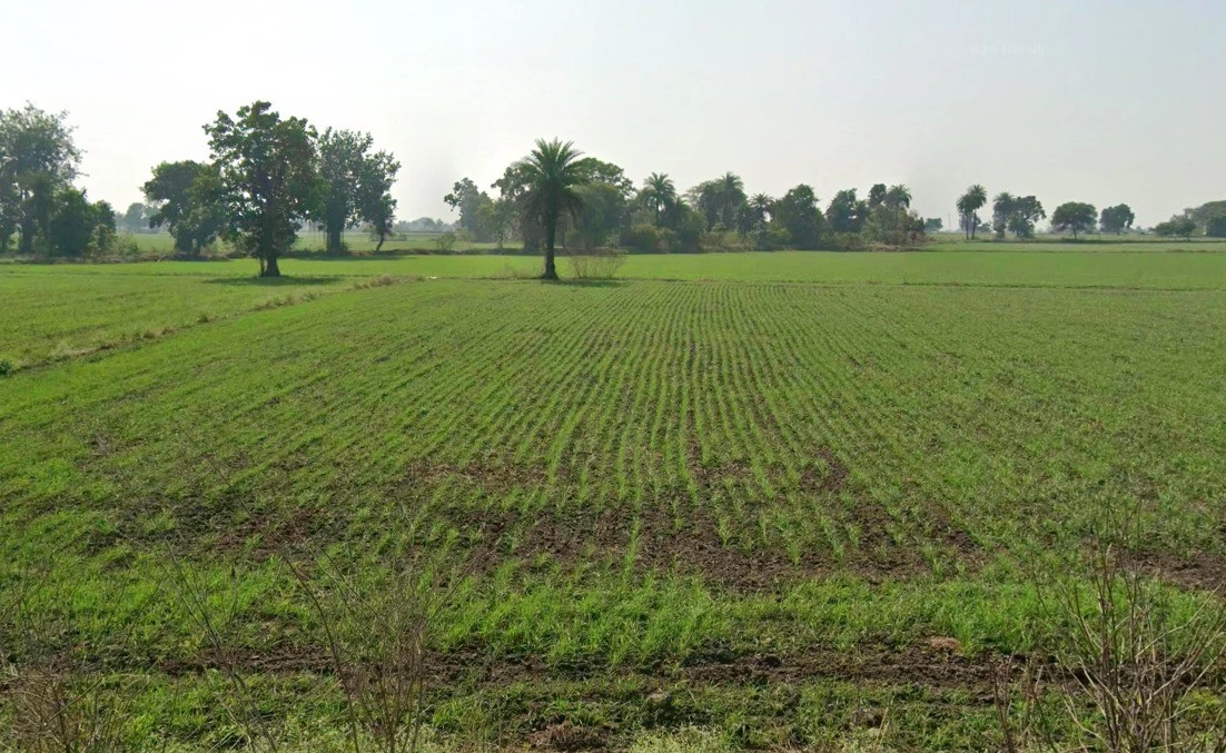 Raisen, Madhya Pradesh, India