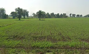 Raisen, Madhya Pradesh, India preview 3