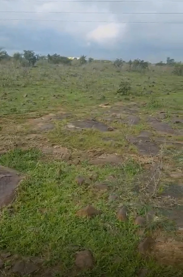Barkhedi, Bhopal, Madhya Pradesh 464111, India