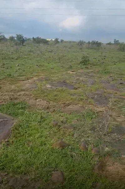 Barkhedi, Bhopal, Madhya Pradesh 464111, India preview 2