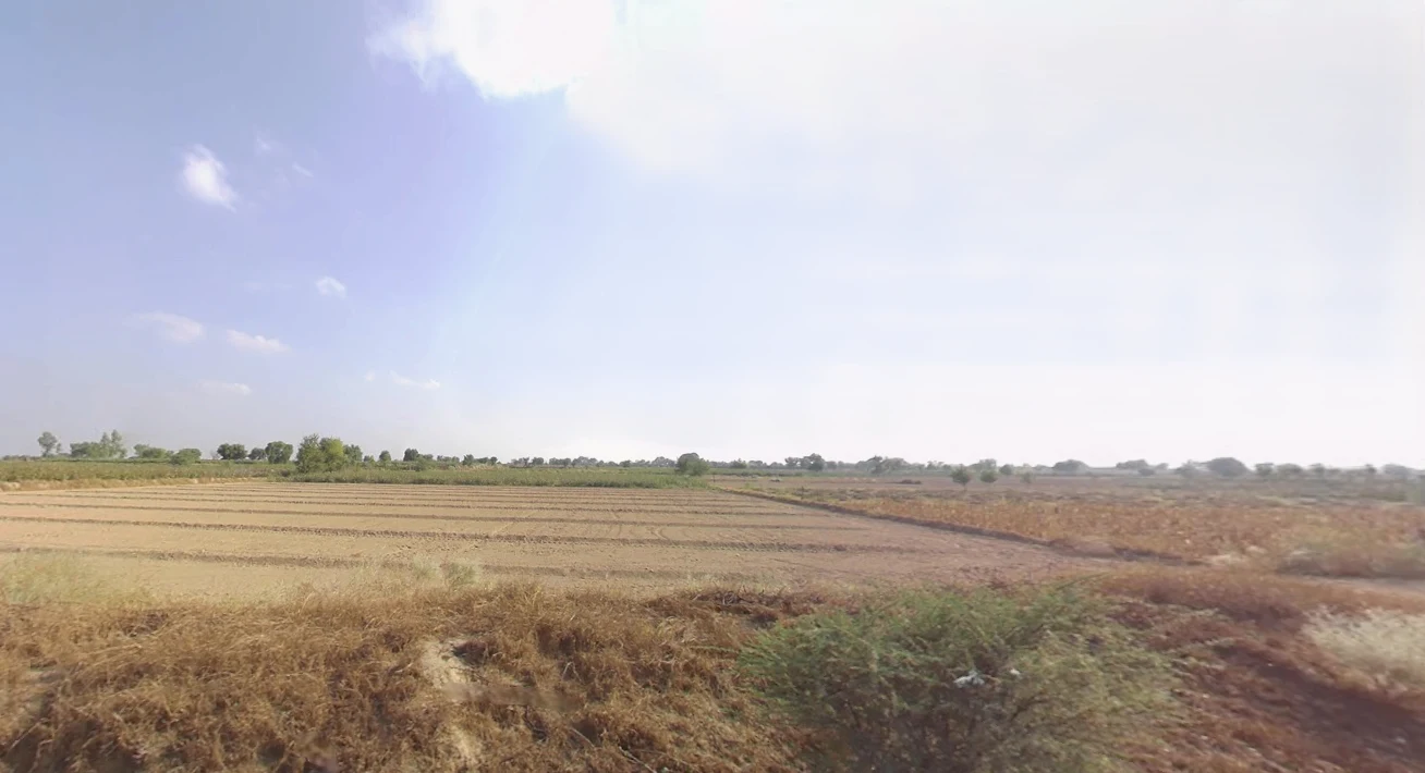 Kaluana, Haryana 125103, India