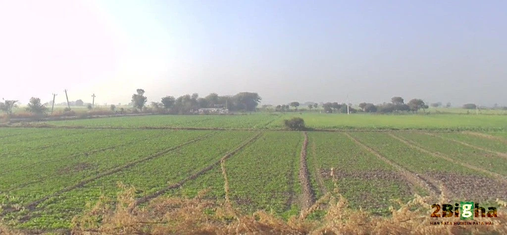 Diggi, Rajasthan 304504, India