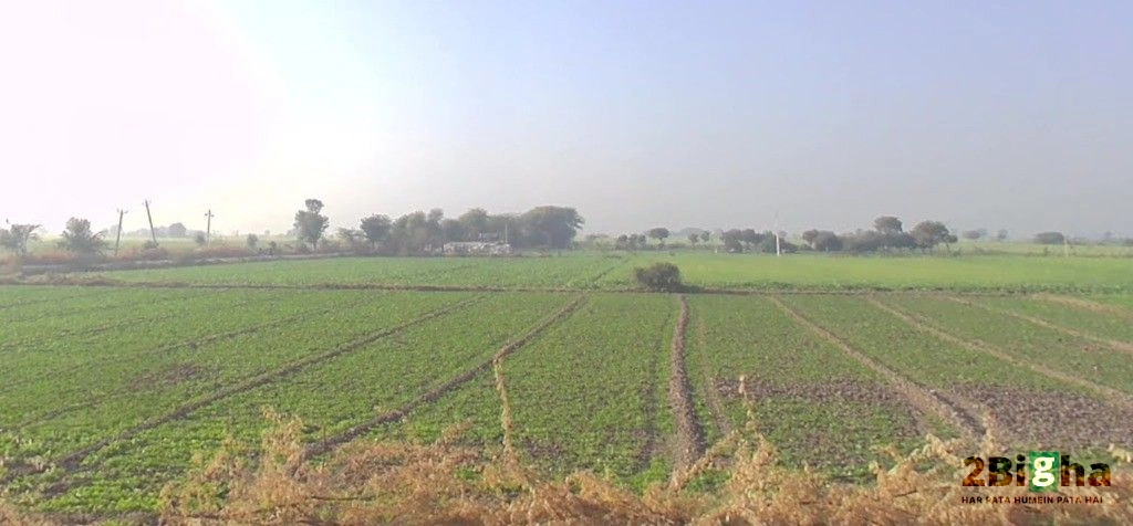 Diggi, Rajasthan 304504, India