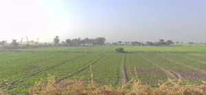 Diggi, Rajasthan 304504, India preview 3