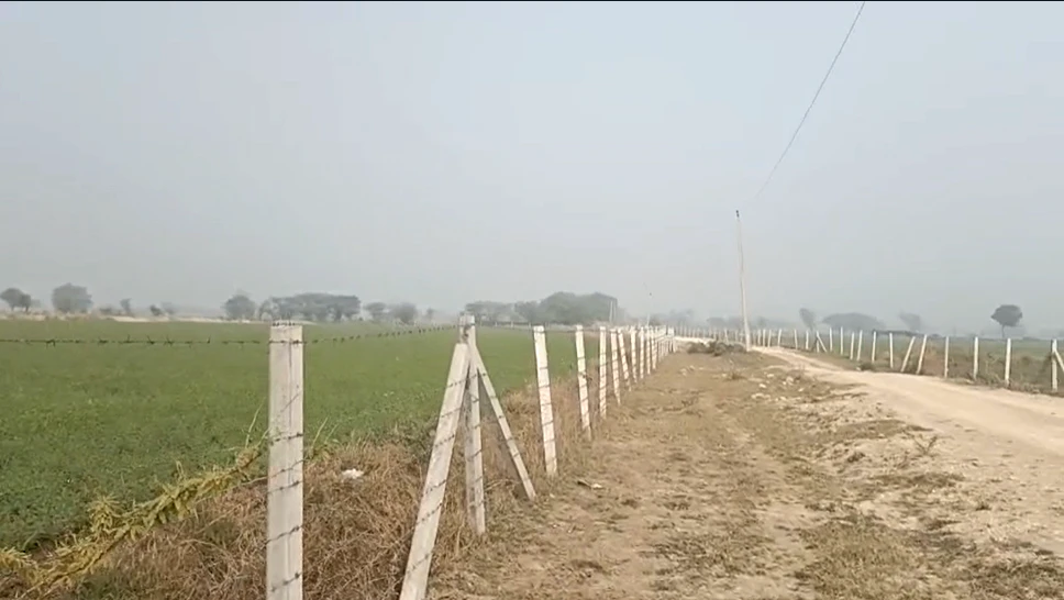 HGP7+93 Chauru, Rajasthan, India