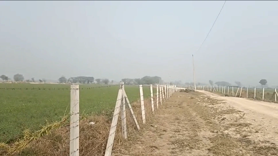 HGP7+93 Chauru, Rajasthan, India