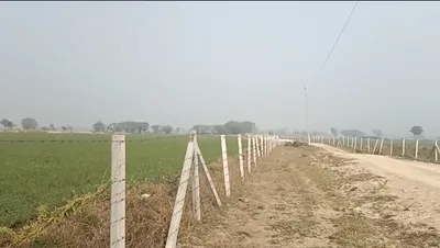 HGP7+93 Chauru, Rajasthan, India preview 3