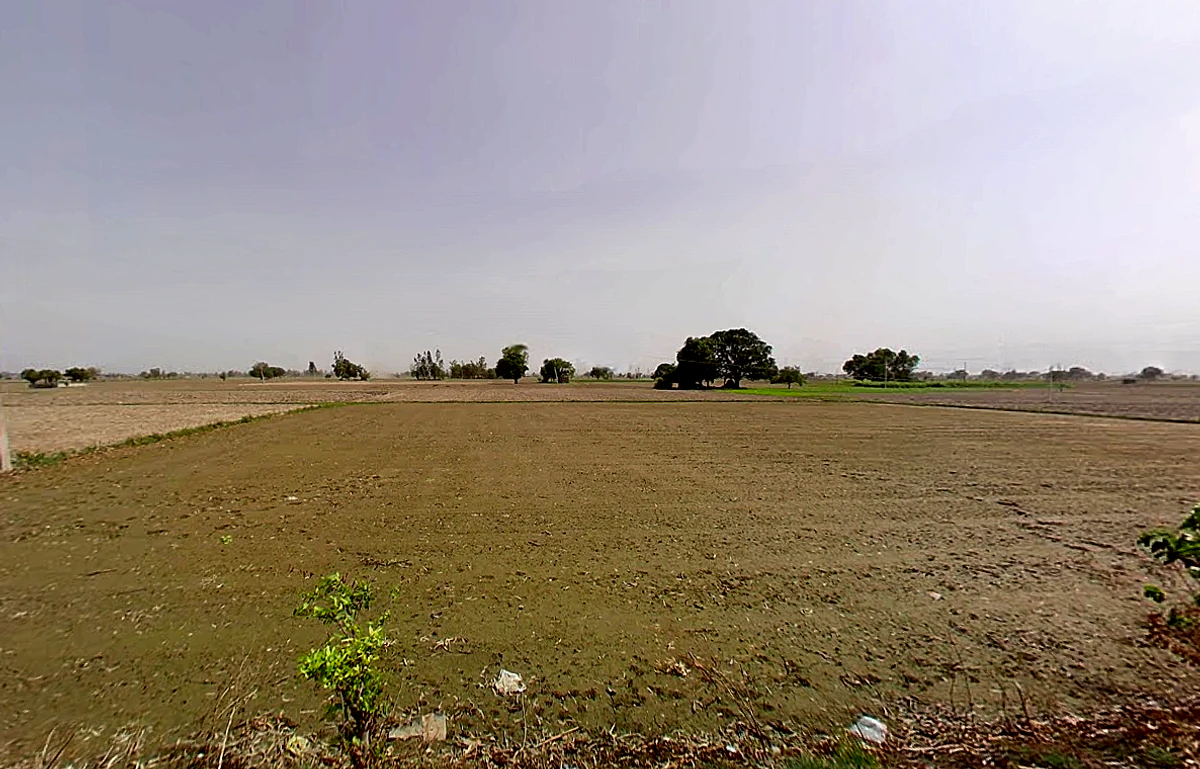 Bapauli, Haryana 132104, India