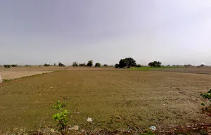 Bapauli, Haryana 132104, India preview 3