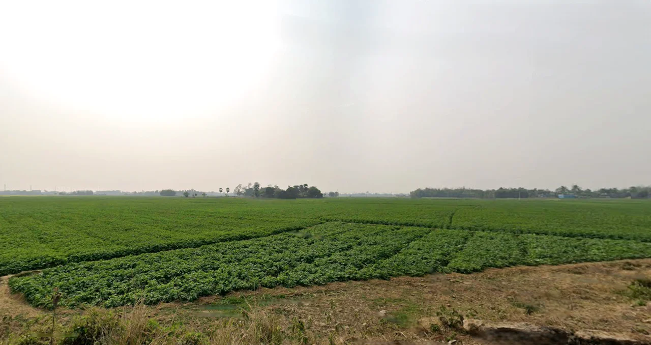 Major Arterial Road(South-East, Biswa Bangla Sarani, AA II, Deshbandhu Nagar, Newtown, Kolkata, New Town, West Bengal 700161, India preview 2