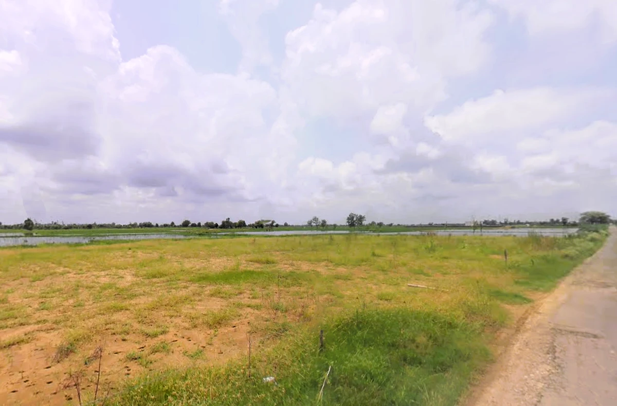 Baniyani, Haryana 124411, India