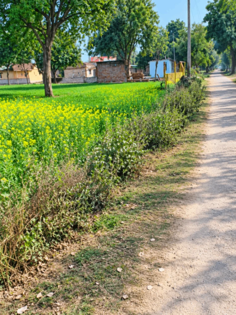 Fatehpur, Bulandshahr, Uttar Pradesh, India - Photo 3