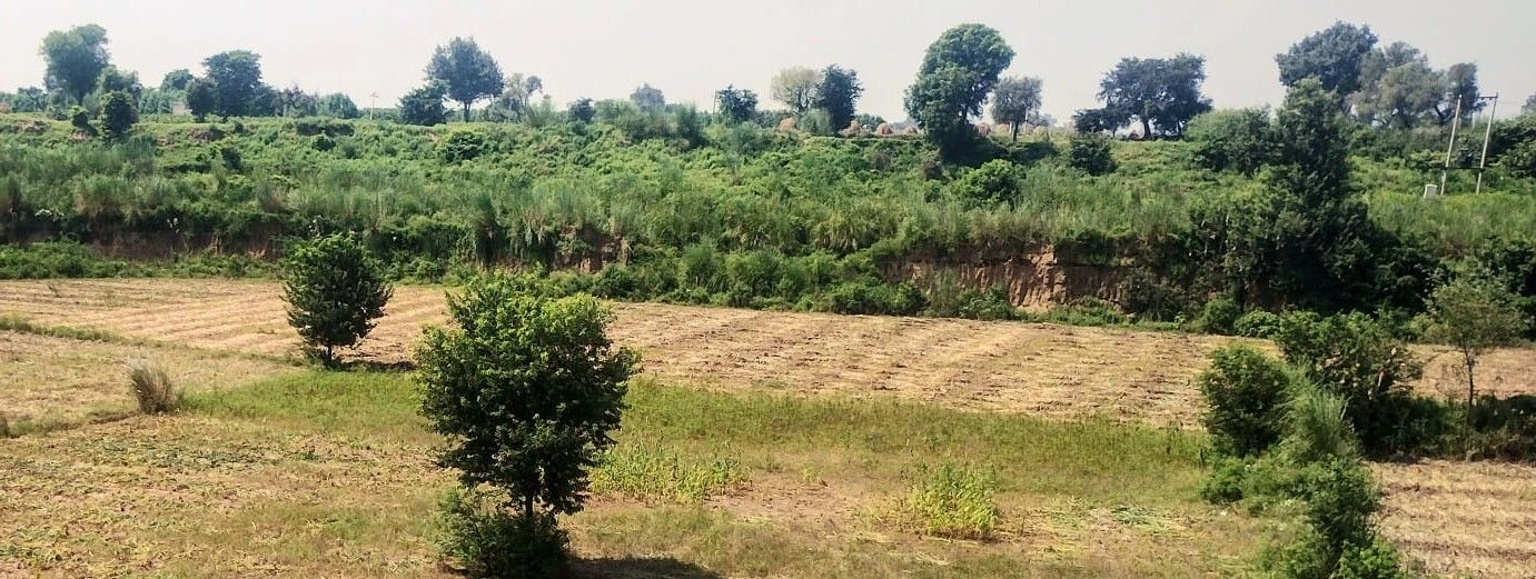 Jalooki, Rajasthan, India
