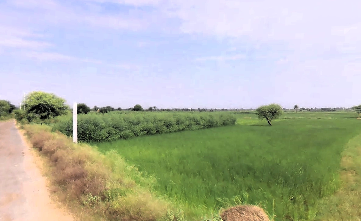 Raiseena, Haryana 122102, India