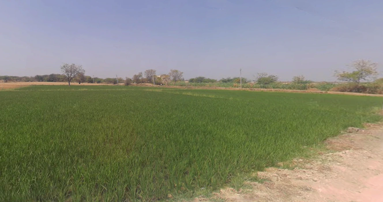 Pipariya, Gujarat, India