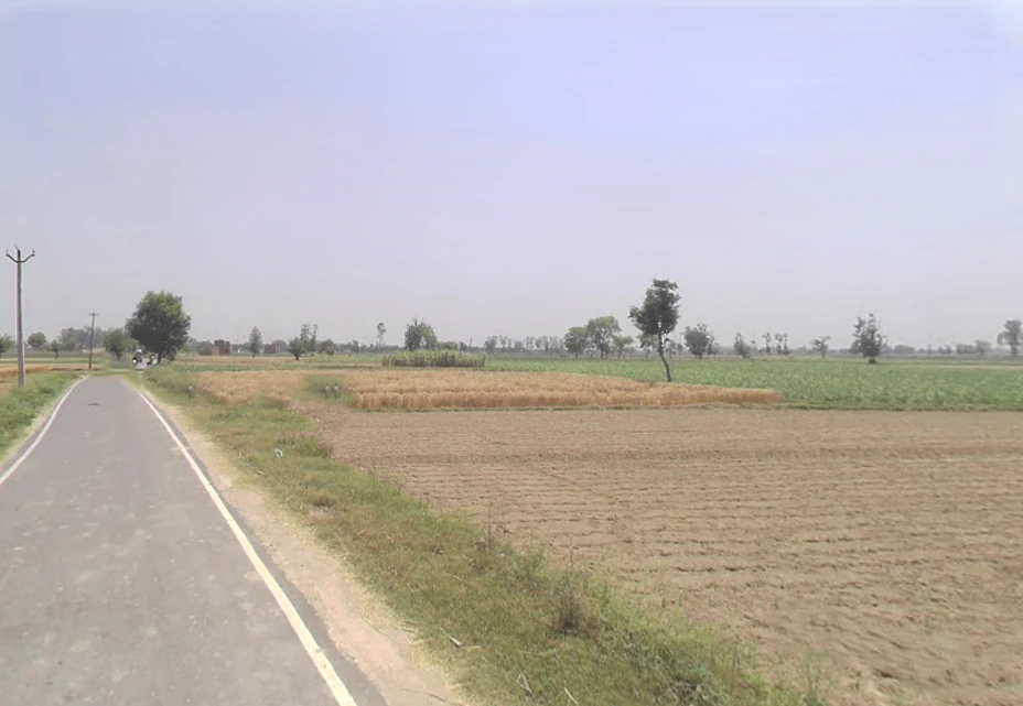 Asmoli, Uttar Pradesh 244304, India
