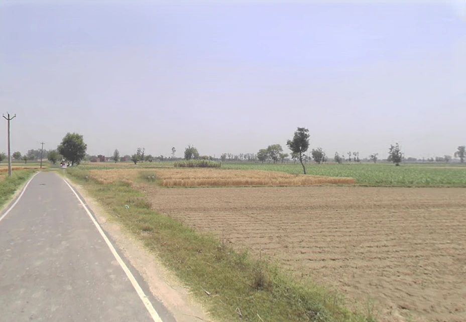 Asmoli, Uttar Pradesh 244304, India