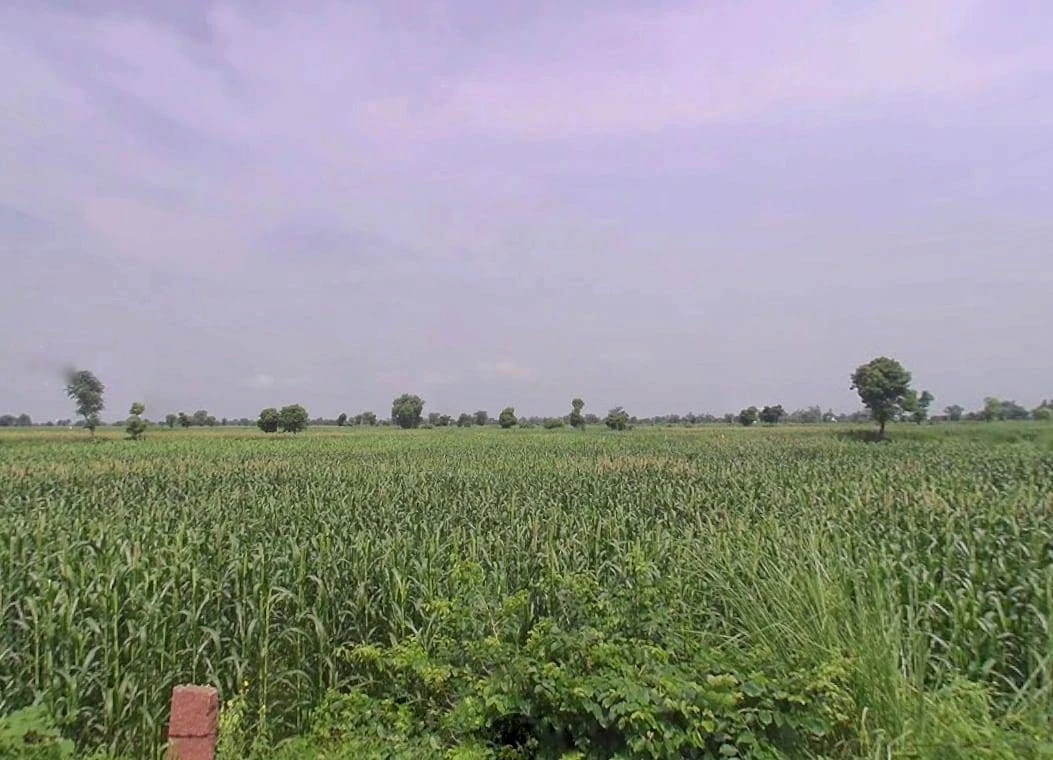 Shyampura, Rajasthan 311606, India