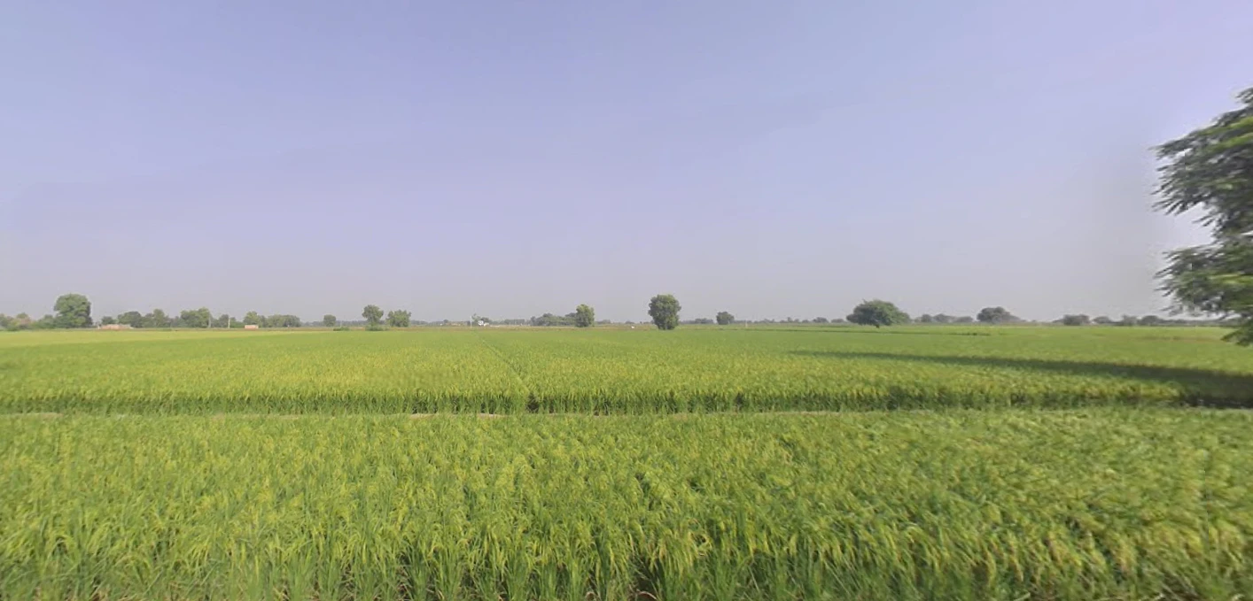 Nuran Khera, Haryana 131302, India