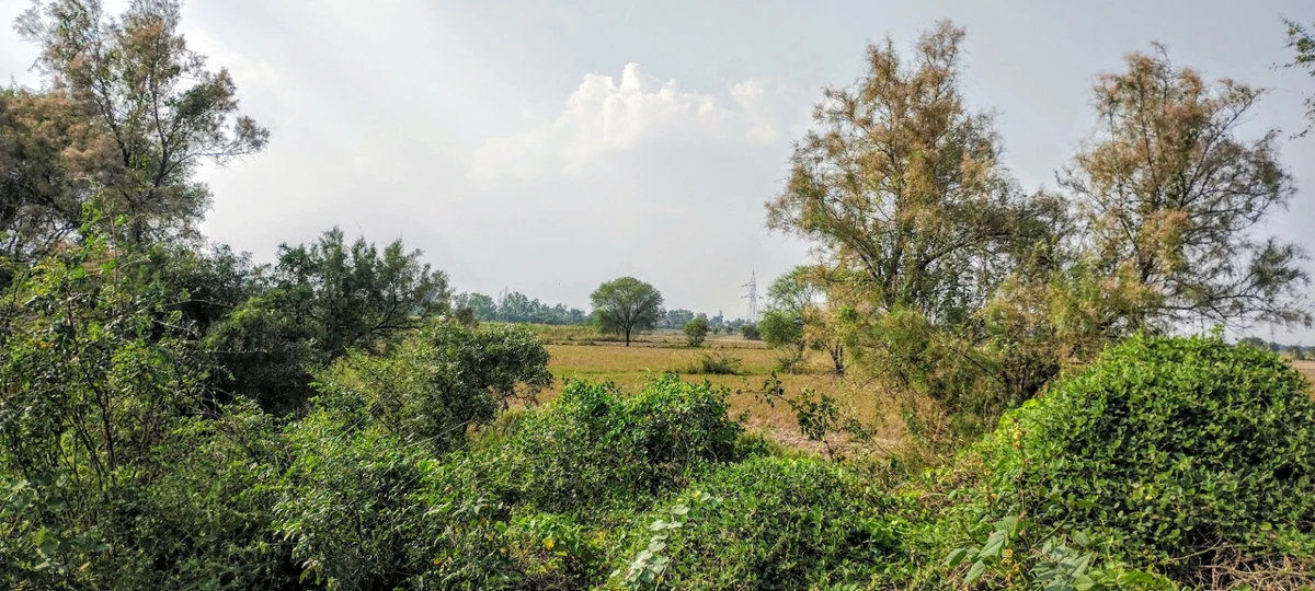 Nagla Chahar, Rajasthan 321203, India