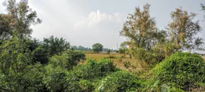 Nagla Chahar, Rajasthan 321203, India preview 4