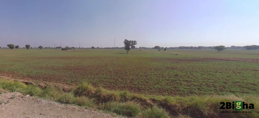 Jaitpura, Rajasthan 303704, India