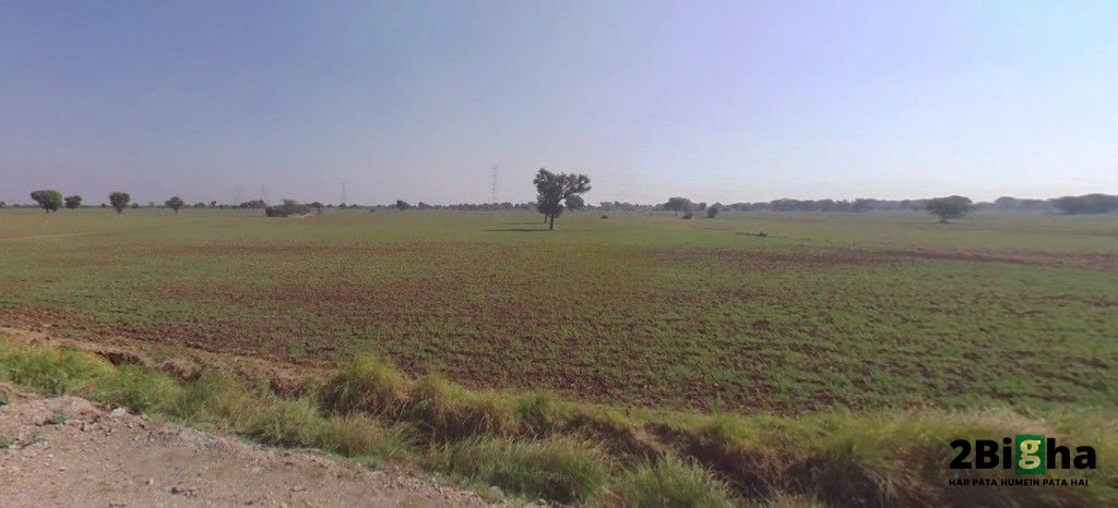 Jaitpura, Rajasthan 303704, India