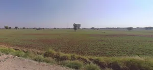 Jaitpura, Rajasthan 303704, India preview 3