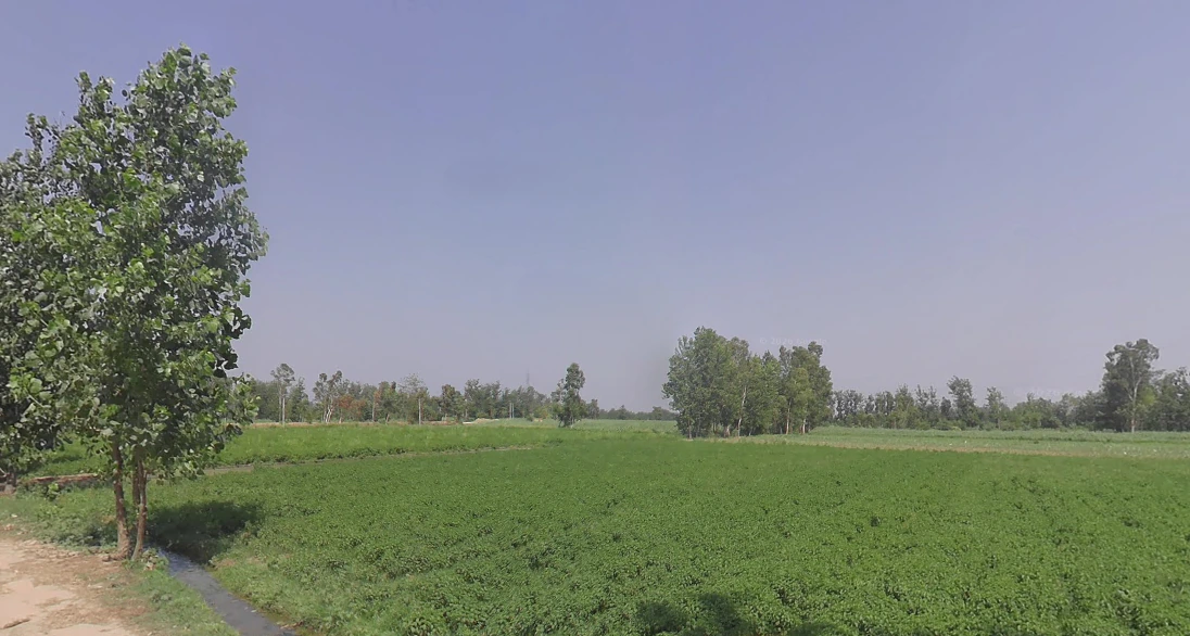 Siyana, Uttar Pradesh 203412, India