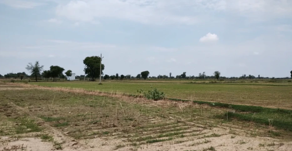 Balachaur, Punjab 144521, India