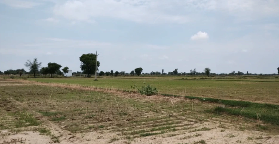 Balachaur, Punjab 144521, India