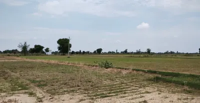 Balachaur, Punjab 144521, India preview 3