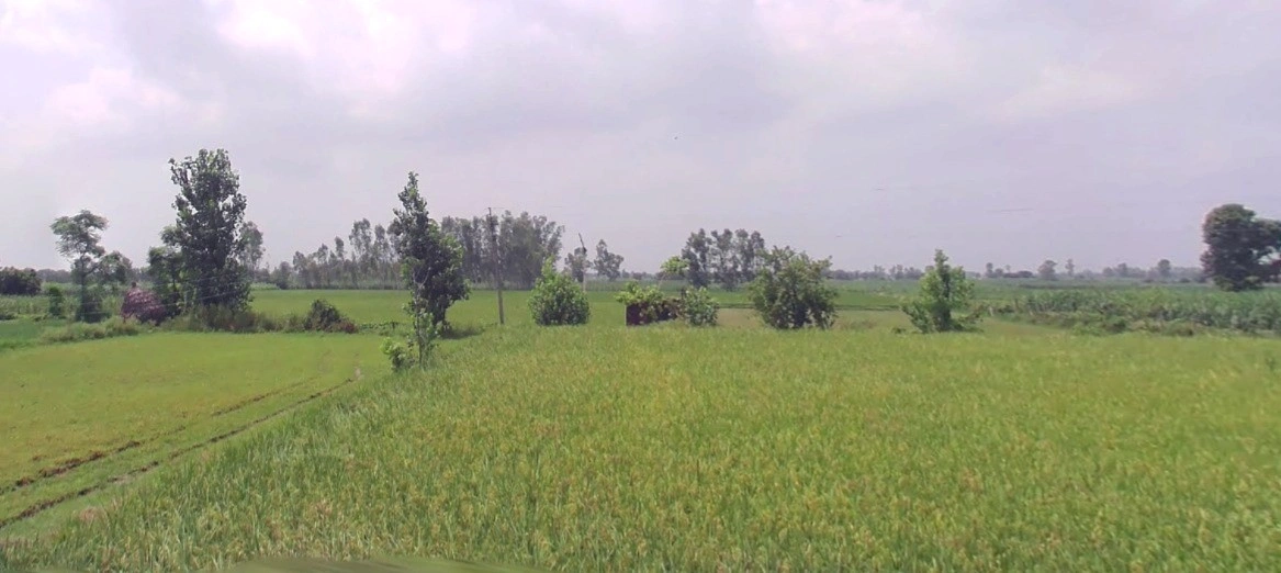 Agar, Madhya Pradesh 465441, India