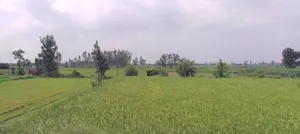 Agar, Madhya Pradesh 465441, India preview 2