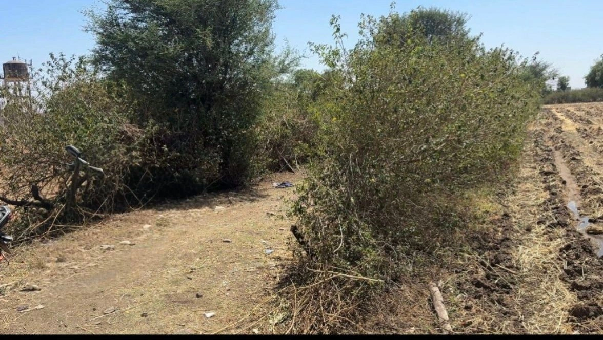 Trilok Nagar, Dewas, Madhya Pradesh 455001, India