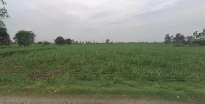 Thakurdwara, Uttar Pradesh 244601, India preview 3