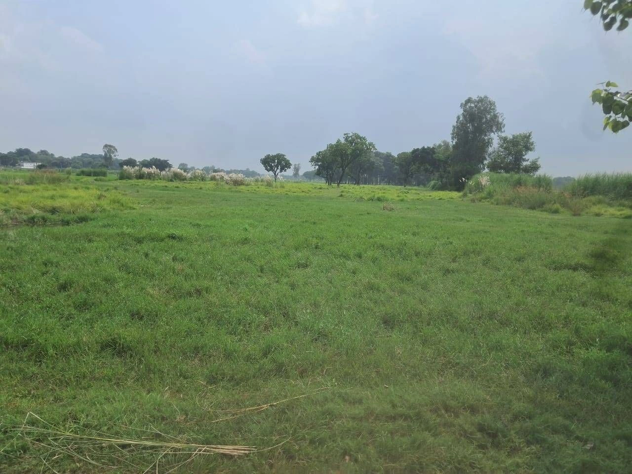 J8XQ+XW Maya Bhikhi, Ayodhya, Uttar Pradesh, India