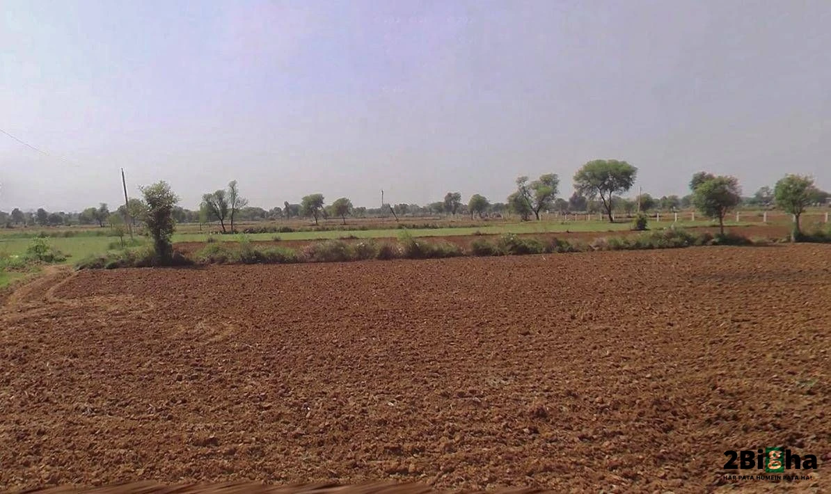 Roorkee, Uttarakhand, India