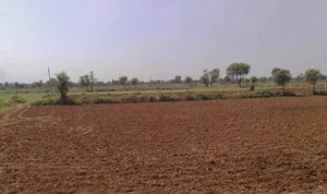 Roorkee, Uttarakhand, India preview 3