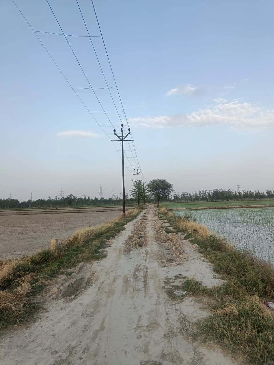 Sankhi, Uttar Pradesh 281401, India