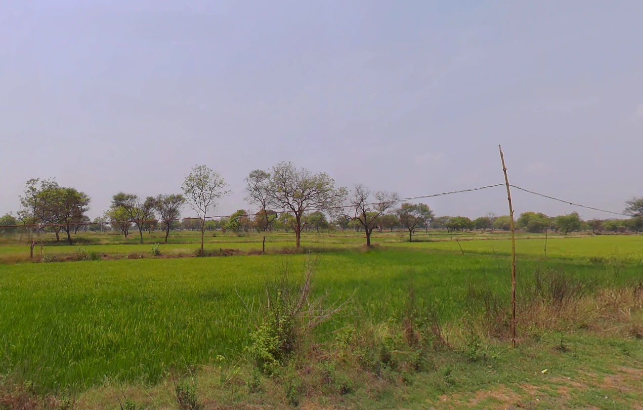 Bhalukonha, Chhattisgarh 491225, India