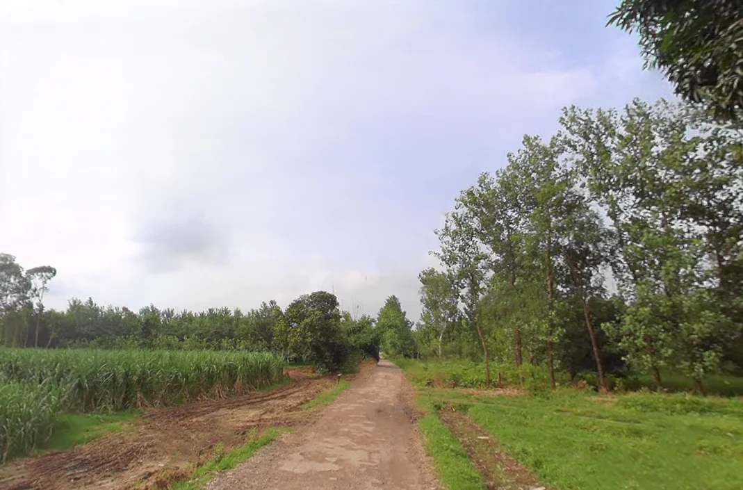 Gumti, Uttar Pradesh 247120, India preview 3