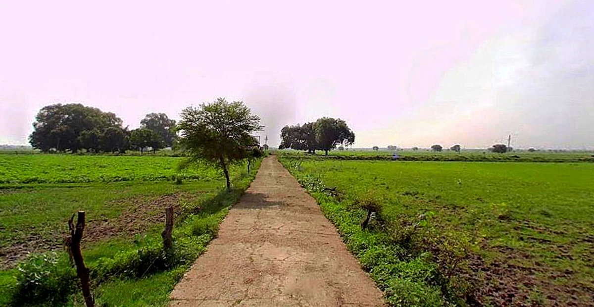 Barsana, Uttar Pradesh 281405, India