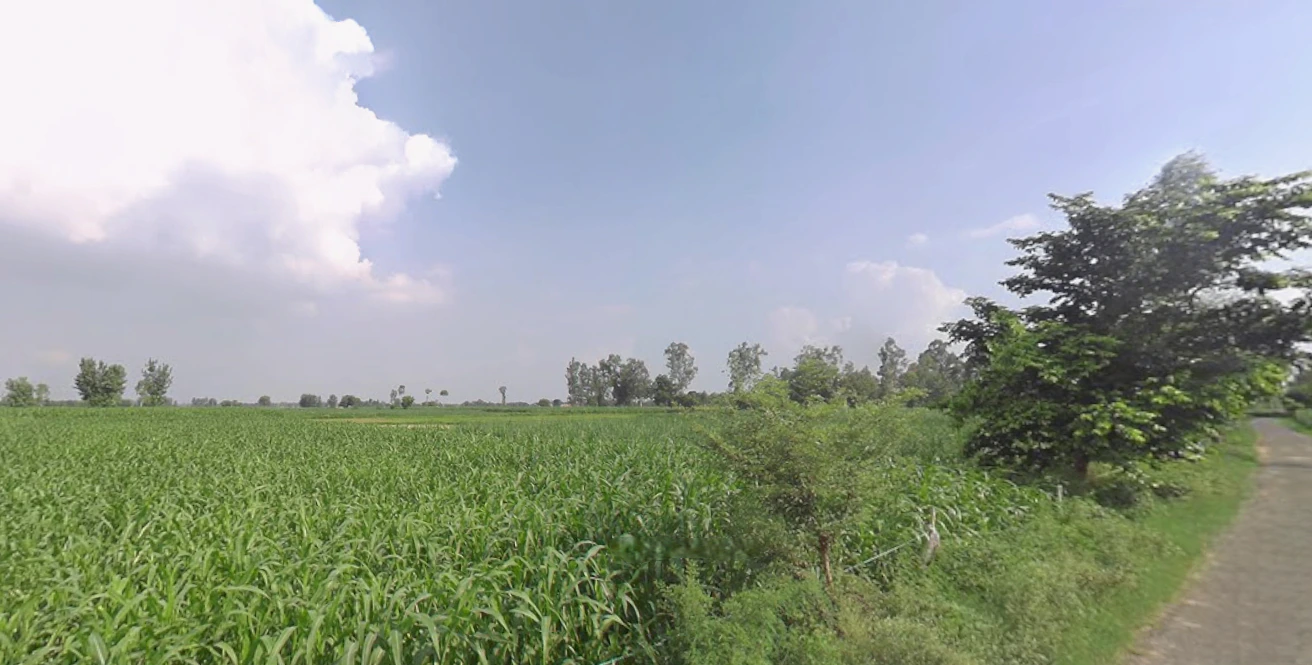 Mohanlalganj, Uttar Pradesh 226301, India