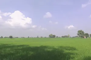 Nathuwala Jadid, Punjab 142053, India preview 3