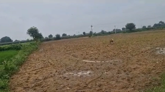 HMG3+HP Thorrur, Mahabubabad, Telangana, India