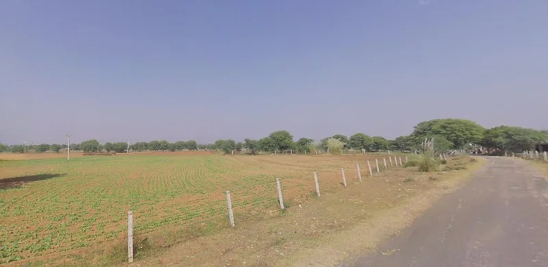 Dittupur, Punjab, India preview 2